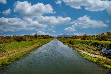 Fototapeta premium Panoramic photos taken inside the Sterpaia nature park in Riotorto Tuscany Italy