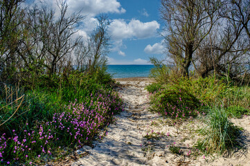 Panoramic photos taken inside the Sterpaia nature park in Riotorto Tuscany Italy
