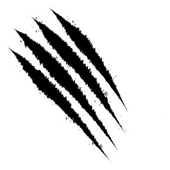 Single beast claw mark with shredded texture and aggressive look. Ideal for spooky vector projects or predator attack visuals. Fully isolated.

