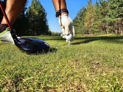 Action of golfer preparing to tee off on sunny day in a lush green golf course