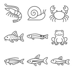 Obraz premium Series of fish and other sea creatures are drawn in black and white