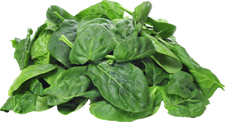 Spinach Without Background