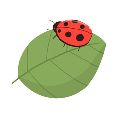 Ladybug on a Leaf Illustration