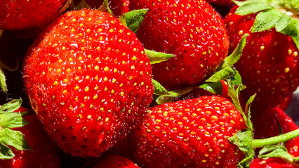 Ripe strawberries picked from the garden. In disposable containers. sale.