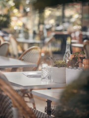 Cafe Scene
