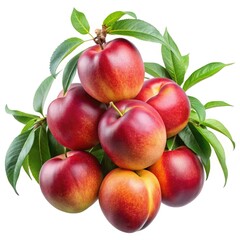 Stacked fresh nectarines with vibrant red and yellow hues and green leaves