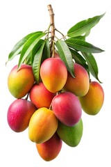 Vibrant bunch of mangoes hanging from a branch with lush green leaves