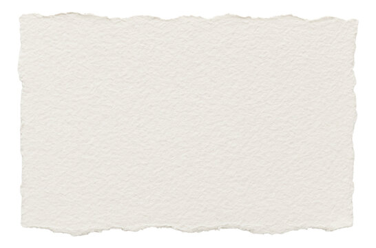 Textured, torn piece of blank white paper with rough jagged edges on transparent background.