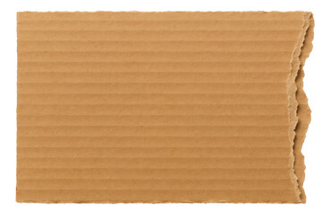 Rectangular piece of ripped brown corrugated cardboard with a rough edge on transparent background.