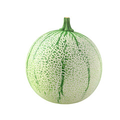 Cantaloupe Melon A Detailed Visual isolated on transparent background