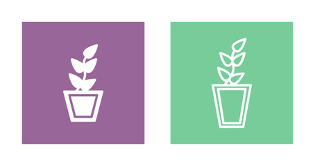 House Plants Icon Design