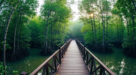 Fototapeta premium A beautiful green forest with a bridge in the middle