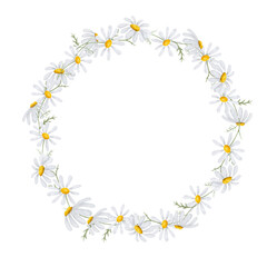 Obraz premium Delicate daisies with white petals, round frame, cute wreath. Watercolor illustration. Meadow and wildflowers are isolated on white background. Theme of spring, summer, children's textiles and Easter.