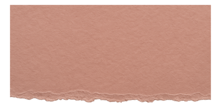 Torn edge of textured brown paper creating an abstract design on transparent background.