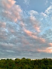 sunset over the field