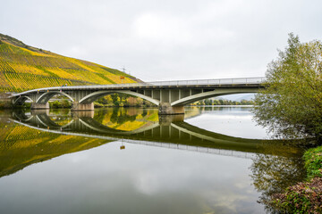 View of the Moselle near Longuich. Riverside landscape with vineyards in autumn.
