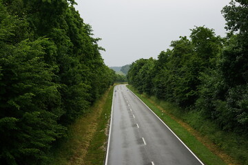 Empty wet countryside road lined with tall trees after rain