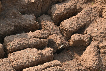 Raw clay bricks have soaked in water.
Sun dried mud bricks, ruined by getting soaked in rain water. Bricks production.