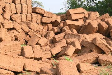 Raw clay bricks have soaked in water.
Sun dried mud bricks, ruined by getting soaked in rain water. Bricks production.