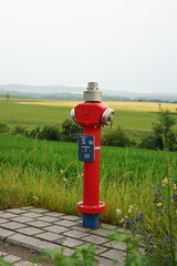 Red fire hydrant in field with green hills background