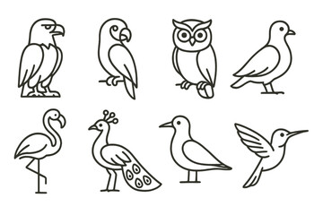 Bird Line Icons. Line style icons of birds: eagle, parrot, owl, dove. flamingo, peacock, seagull, hummingbird. No text, No labels,