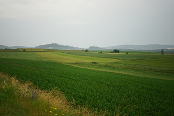 Rolling green fields and yellow crops on a cloudy day