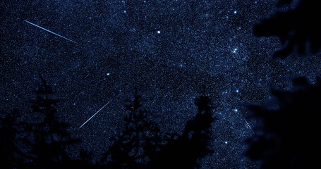 Milky Way stars and rural countryside tree silhouettes