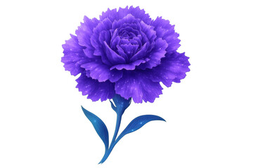 Vivid purple carnation blooming, boasting sparkling glittery petals, standing against transparent background, radiating delicate botanical elegance