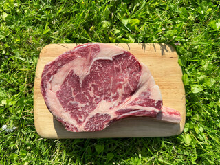 raw bio steak with bone