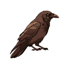 vector illustration of a bird