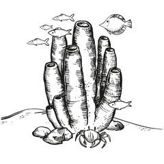 vector illustration of seabed, hand drawn tubular corals, tropical fishes, crab, sand and stones, wild life of sea bottom, reef under sea, ocean, black and white sketch for marine decoration