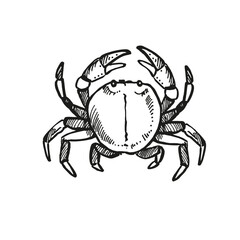 vector hand drawn crab with claws up, wild life of seabed, crustaceans animal under sea, ocean, black and white illustration inhabitants of aquariums, seabed and coast sand for marine decoration