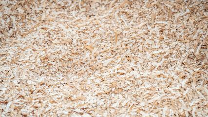 Sawdust heap spreading on the floor in wood workshop. Wooden dust from planing and sawing timber. Wood production waste. lumber industry background