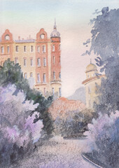 Flowering lilac bush in city