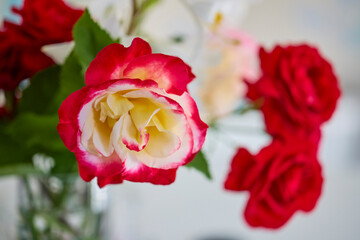 landscape with roses in a vase with selective focus
