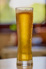 a glass of freshly poured beer