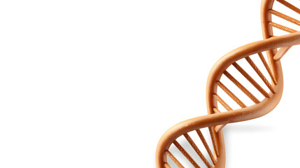 A stunning 3D rendering of a DNA strand showcasing the elegance of the double helix structure