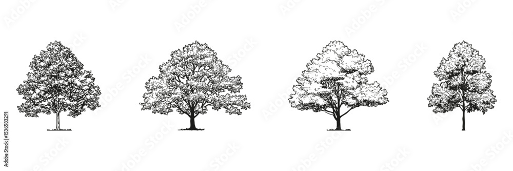 Poster tree sketch side view set. architectural landscaping and environmental design collection. isolated v
