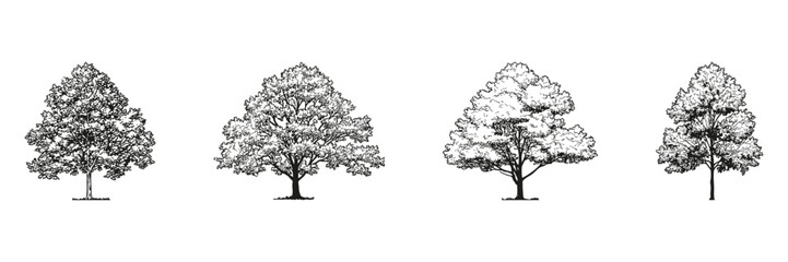 Fototapeta premium Tree Sketch Side View Set. Architectural Landscaping And Environmental Design Collection. Isolated Vector Illustration
