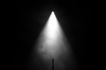 A Dramatic and Symmetrical Composition, with a Bright Spotlight Shining Downwards and Illuminating an Unseen Subject In... for Premium Quality Projects