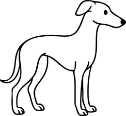 Children's Animal Illustration Coloring Book, 12 Zodiac Animals