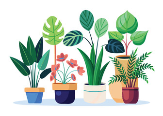 Obraz premium Beautiful flowering houseplants in a decorative pot with lush green leaves, perfect for home gardening and natural indoor growth