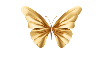 butterfly on white background