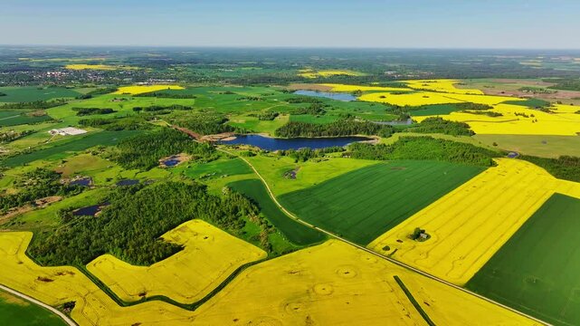 Backwards drone view reveals Dobele farmlands and vivid spring fields, Latvia