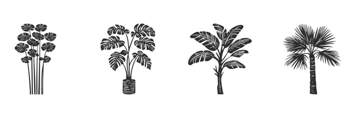 Obraz premium Tropical Plant Silhouettes Set. Exotic Foliage Collection For Botanical Design Isolated Vector Illustration Collection