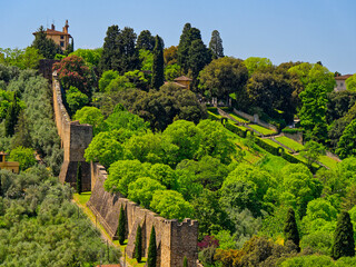 Forte di Belvedere and its walls sitting atop a hill, encircled by lush greenery and trees, blending medieval architecture with a picturesque landscape. Medici district of Florence, Italy.