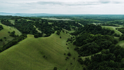 Fototapeta premium Drone view of rolling green hills in Zagajicka brda in spring season, with scattered trees and a winding valley path through untouched spring landscape in Vojvodina, Serbia