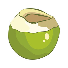 coconut drink vector