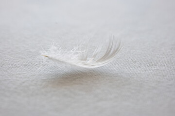 A single goose feather on a bed sheet.