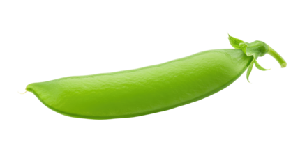 Fresh Green Pea Pod with Delicate Tendrils and Vibrant Color Detail